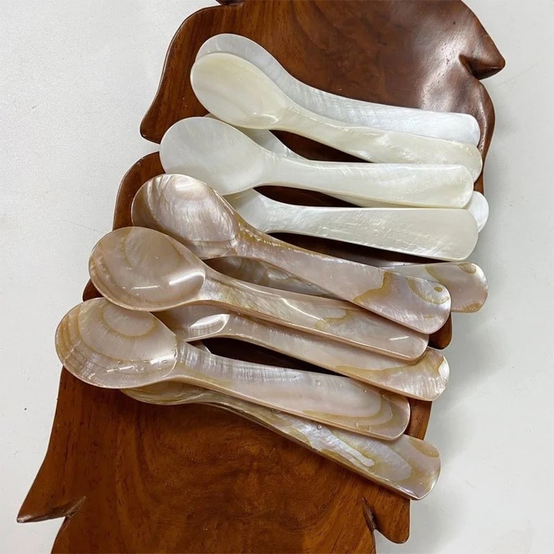 Natural Shell Spoon